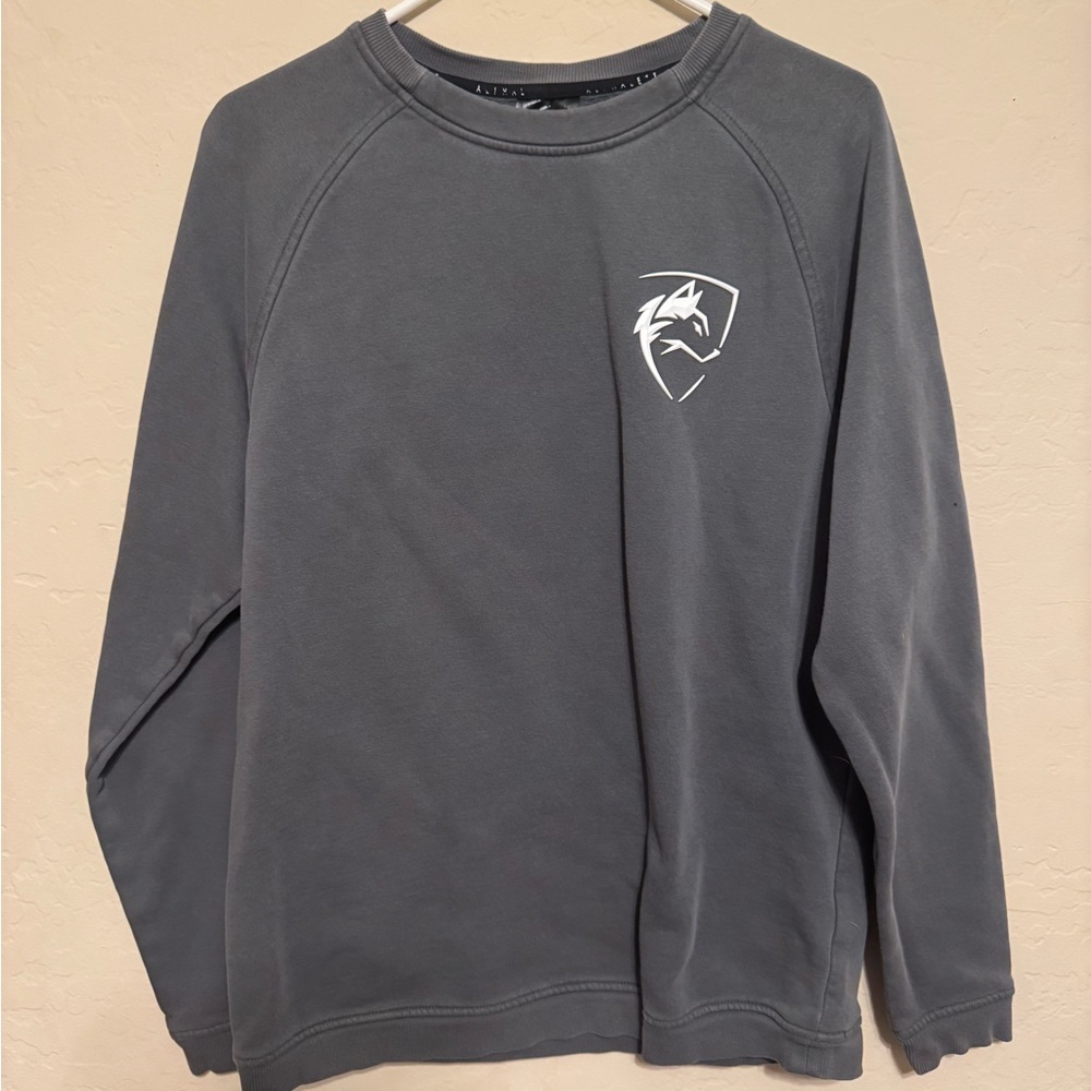 Gray Crewneck Sweatshirt with Logo
